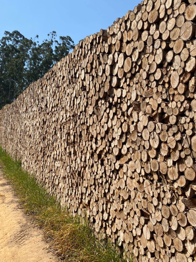 Ramiro Florestal, Lenha de Madeira de Eucalipto, Lenha Metrinho, Lenha Caldeira, Lenha Fornos Industriais