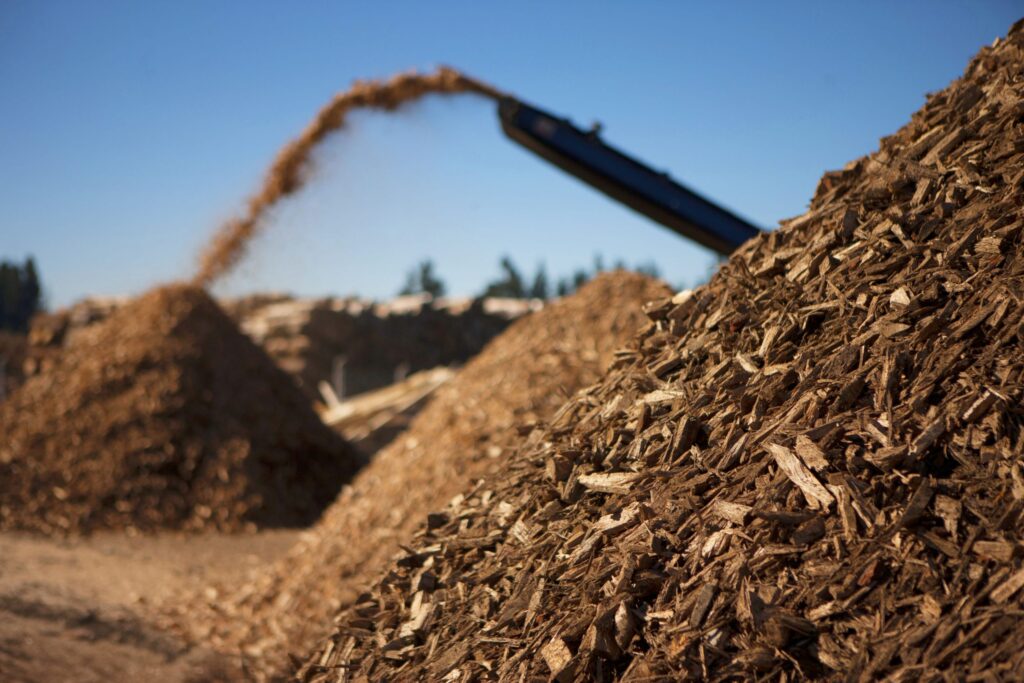 A biomassa é uma fonte de energia renovável que apresenta vantagens e desvantagens.